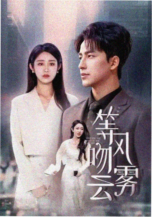 雾港档案 电视剧在线观看